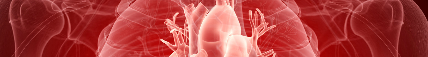 2026 EMH Cardiac Cath Conference (RSS) Banner